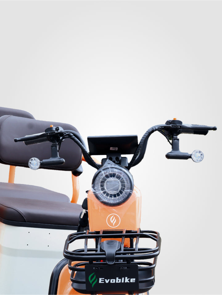 Bicicleta Family Plus
