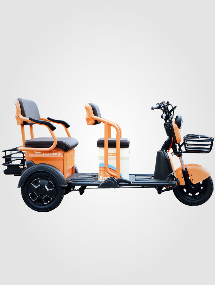 Bicicleta Family Plus