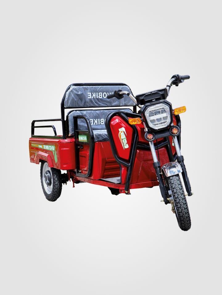 Triciclo Cargo