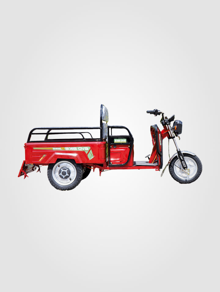 Triciclo Cargo