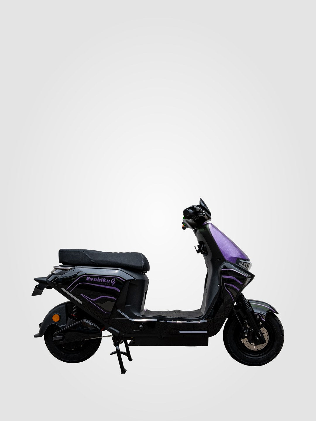 Morado