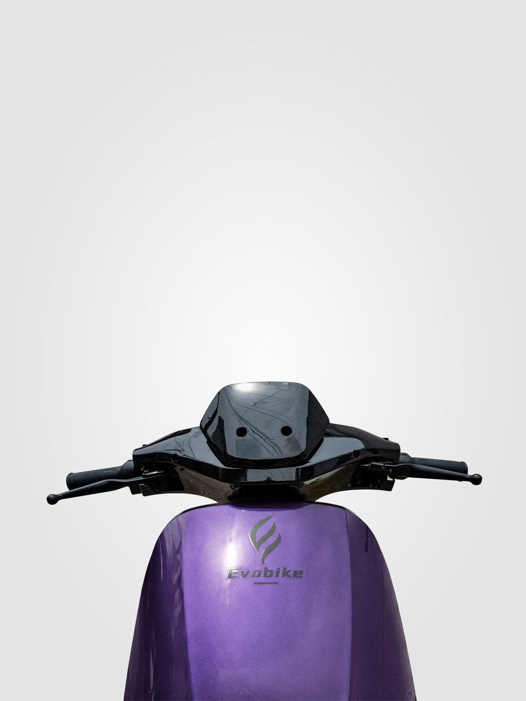 Morado