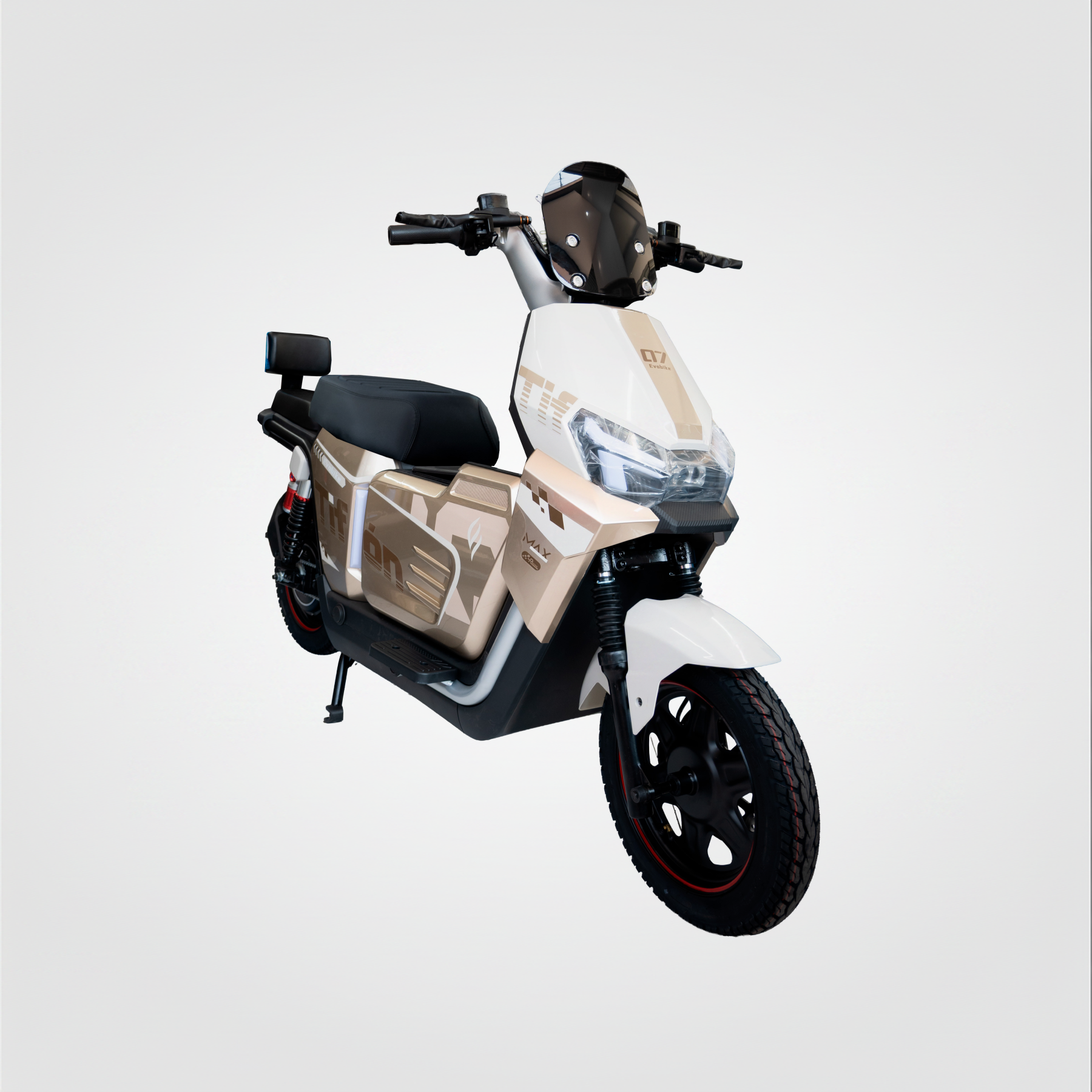 Tifon marron con blanco