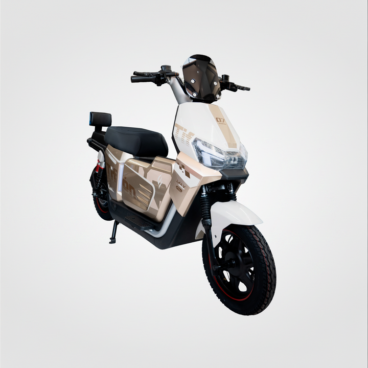 Tifon marron con blanco