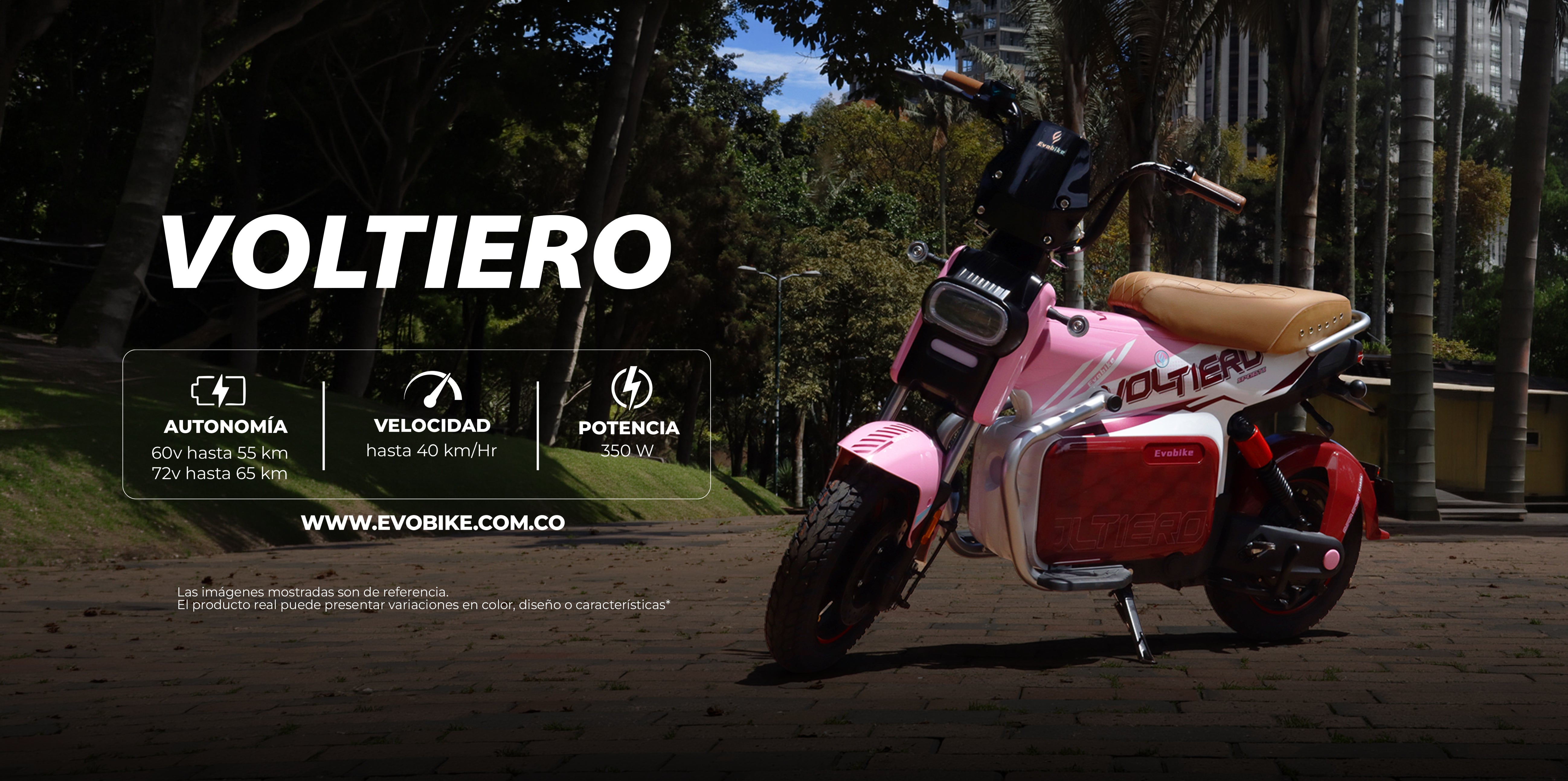 VOLTIERO