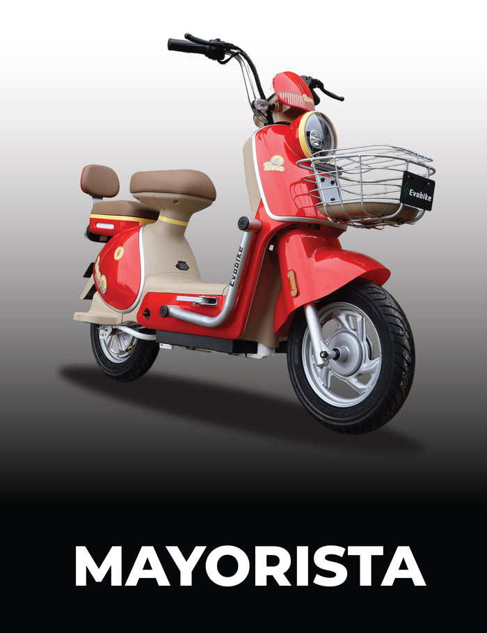 Plan Mayorista